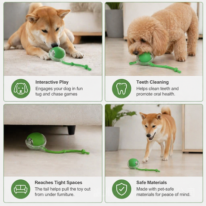Interactive Play Ball with Tail for Dogs