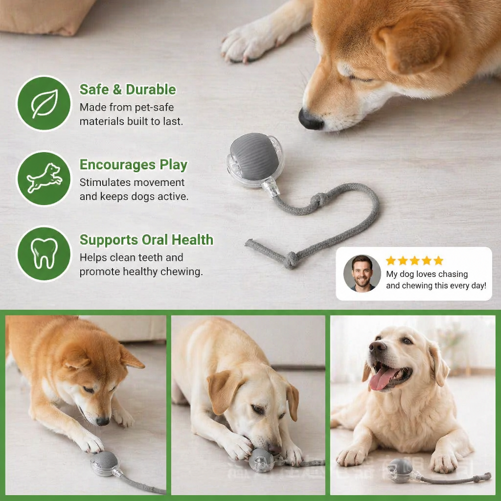 Interactive Play Ball with Tail for Dogs