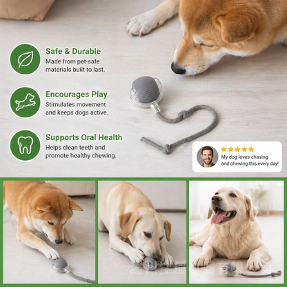 Interactive Play Ball with Tail for Dogs