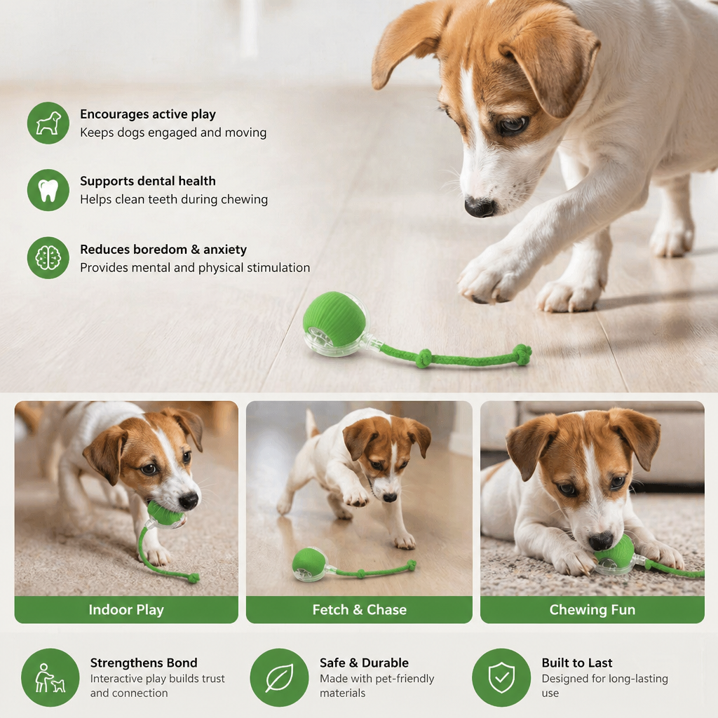 Interactive Play Ball with Tail for Dogs