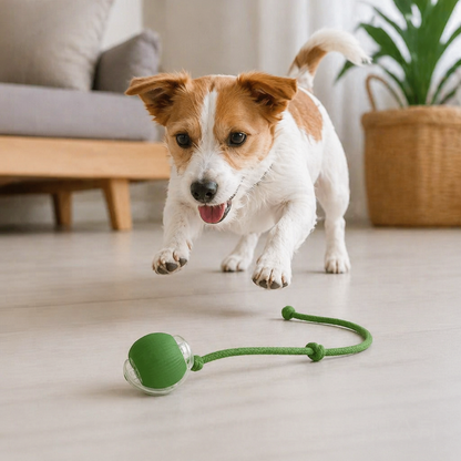 Interactive Play Ball with Tail for Dogs