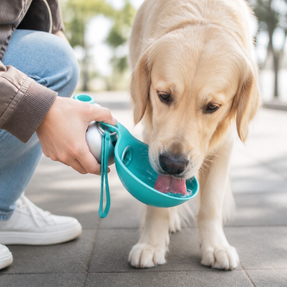 2-in-1 Travel Water Bottle for Dogs – Leak-Proof Stainless Steel Bottle with Silicone Bowl
