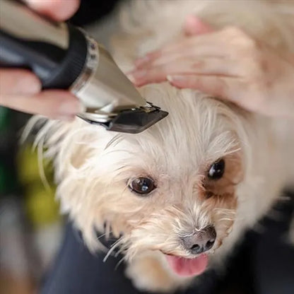 Silent Hair Clipper Set for Dogs