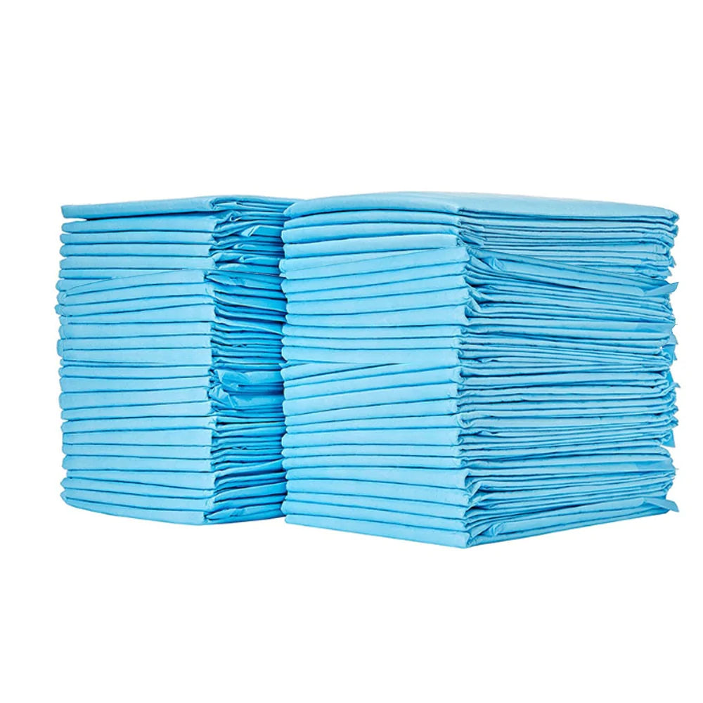 Toilet Training Pads