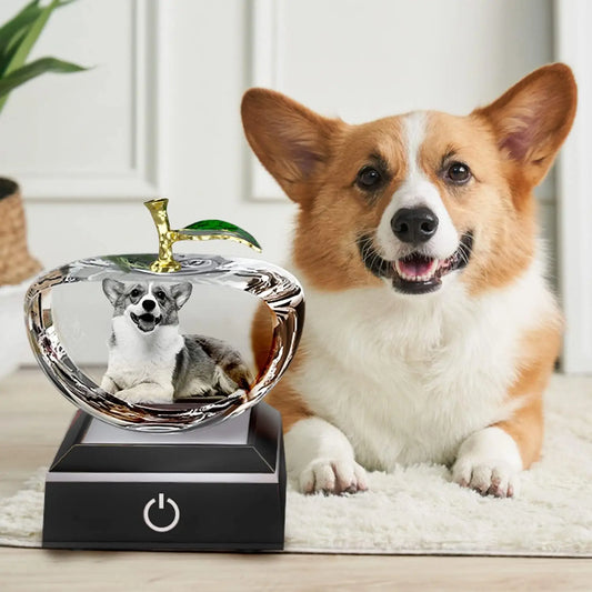Custom 2D/3D Laser Engraving on Crystal in the Shape of an Apple