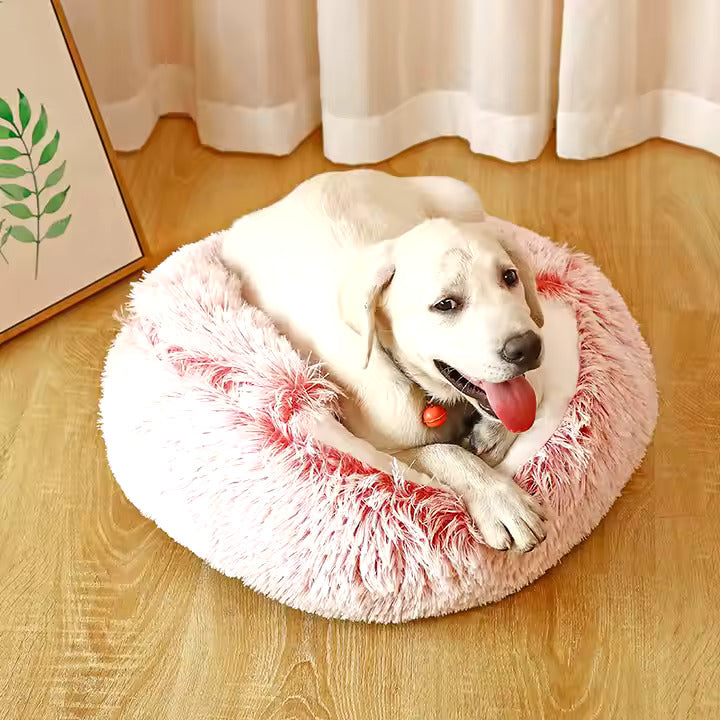 2-in-1 Cuddle Cave for Dogs