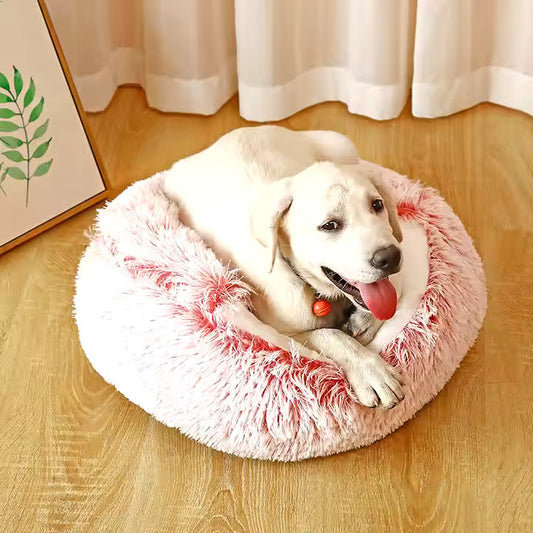 2-in-1 Cuddle Cave for Dogs