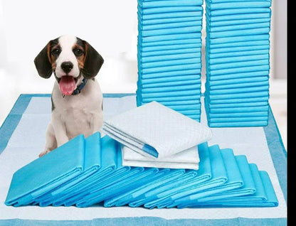 Toilet Training Pads