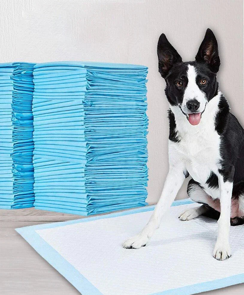 Toilet Training Pads