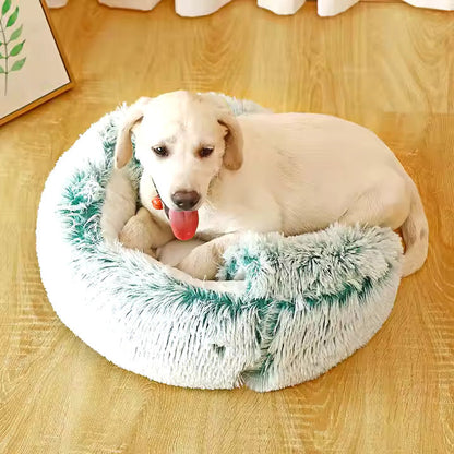 2-in-1 Cuddle Cave for Dogs