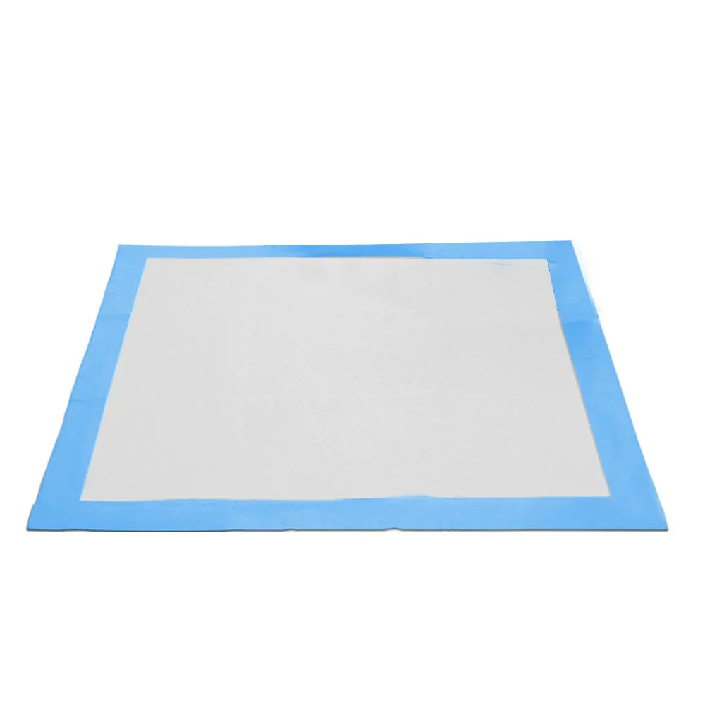 Toilet Training Pads