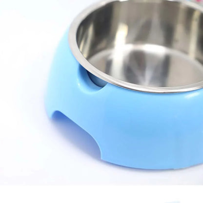 3-in-1 Pet Feeder
