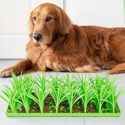 Treat Field - Interactive Treat Toy