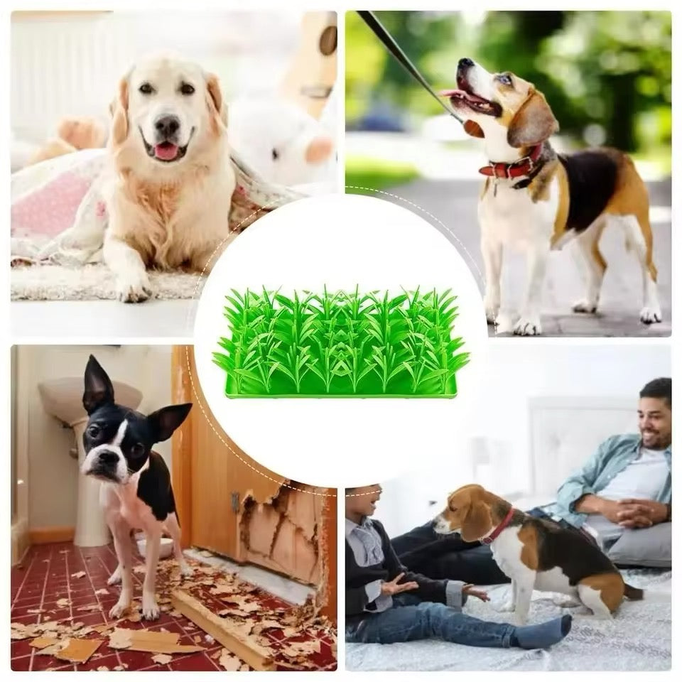 Treat Field - Interactive Treat Toy