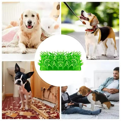 Treat Field - Interactive Treat Toy