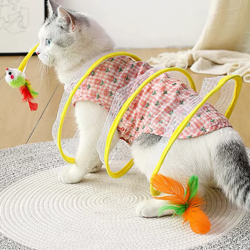 Cat Spiral