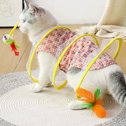 Cat Spiral