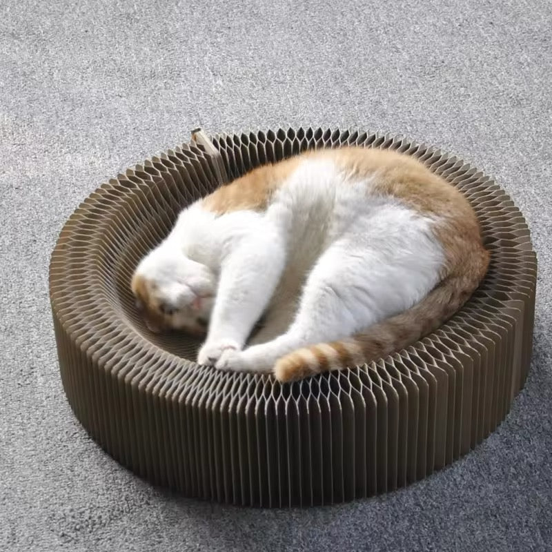 Magic Play and Scratching Bed for Cats