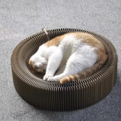 Magical Cat Play Bed and Scratcher