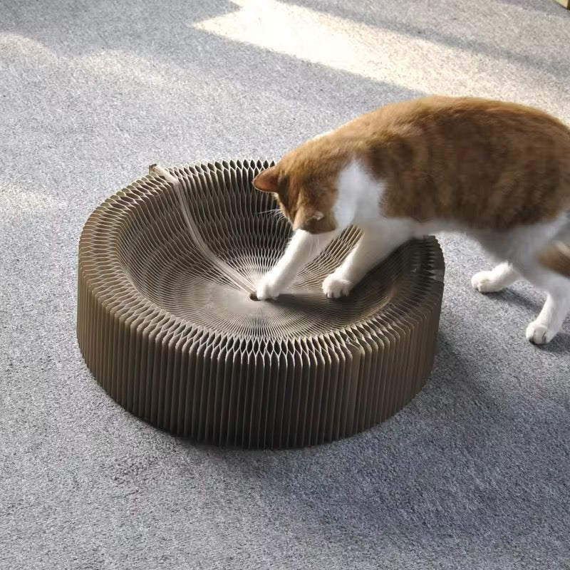 Magical Cat Play Bed and Scratcher