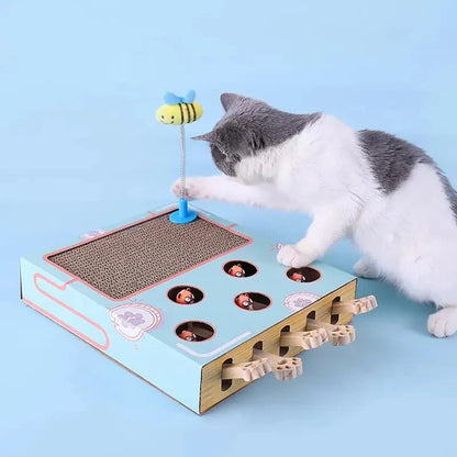 3-in-1 Cat Play Box