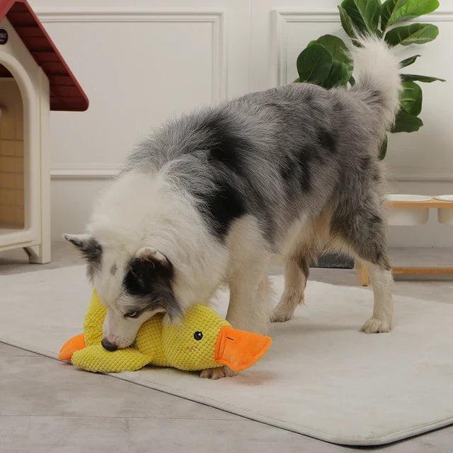 Stress-Relief Duck - Plush Toy for Dogs