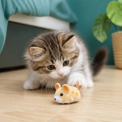 Active Hamster Indoor Cat Toy