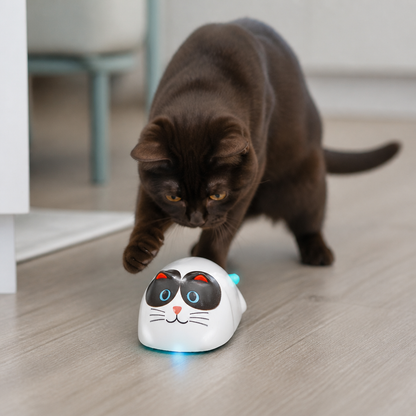Touch-Activated Smart Cat Robot Toy