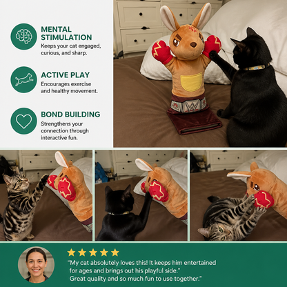 Interactive Kangaroo Boxing Hand Puppet Cat Toy