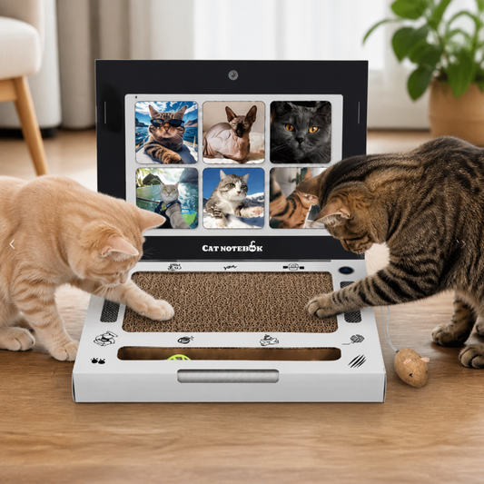 Cardboard Laptop Cat Scratcher & Interactive Toy