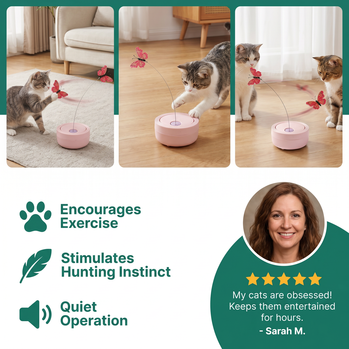 Interactive Butterfly Spinner Cat Toy