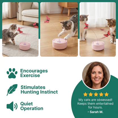 Interactive Butterfly Spinner Cat Toy