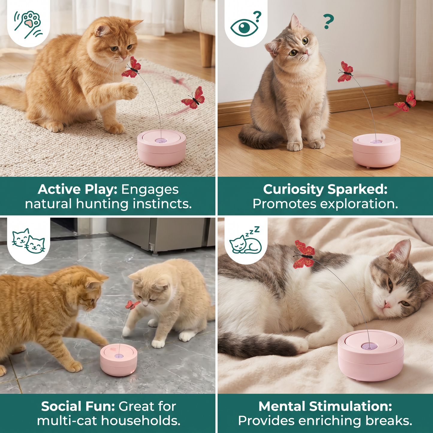 Interactive Butterfly Spinner Cat Toy