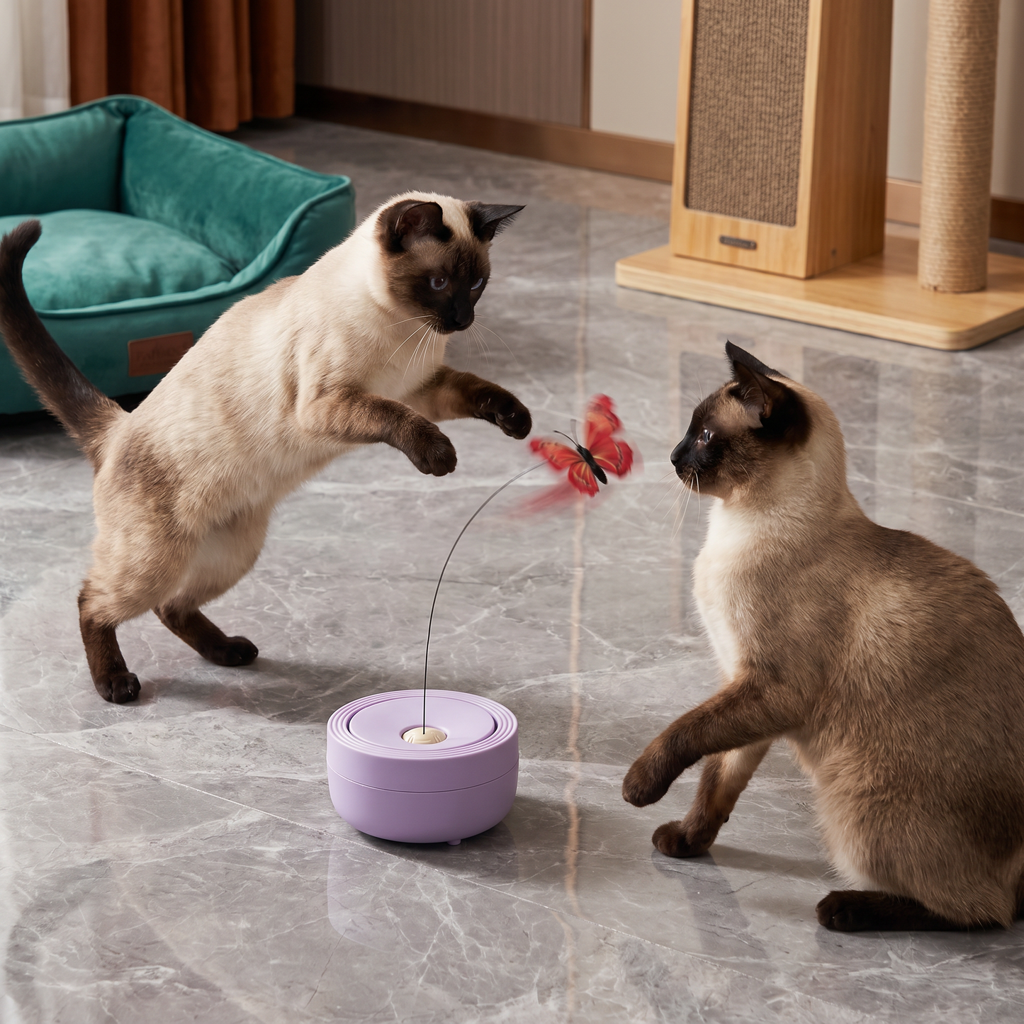 Interactive Butterfly Spinner Cat Toy