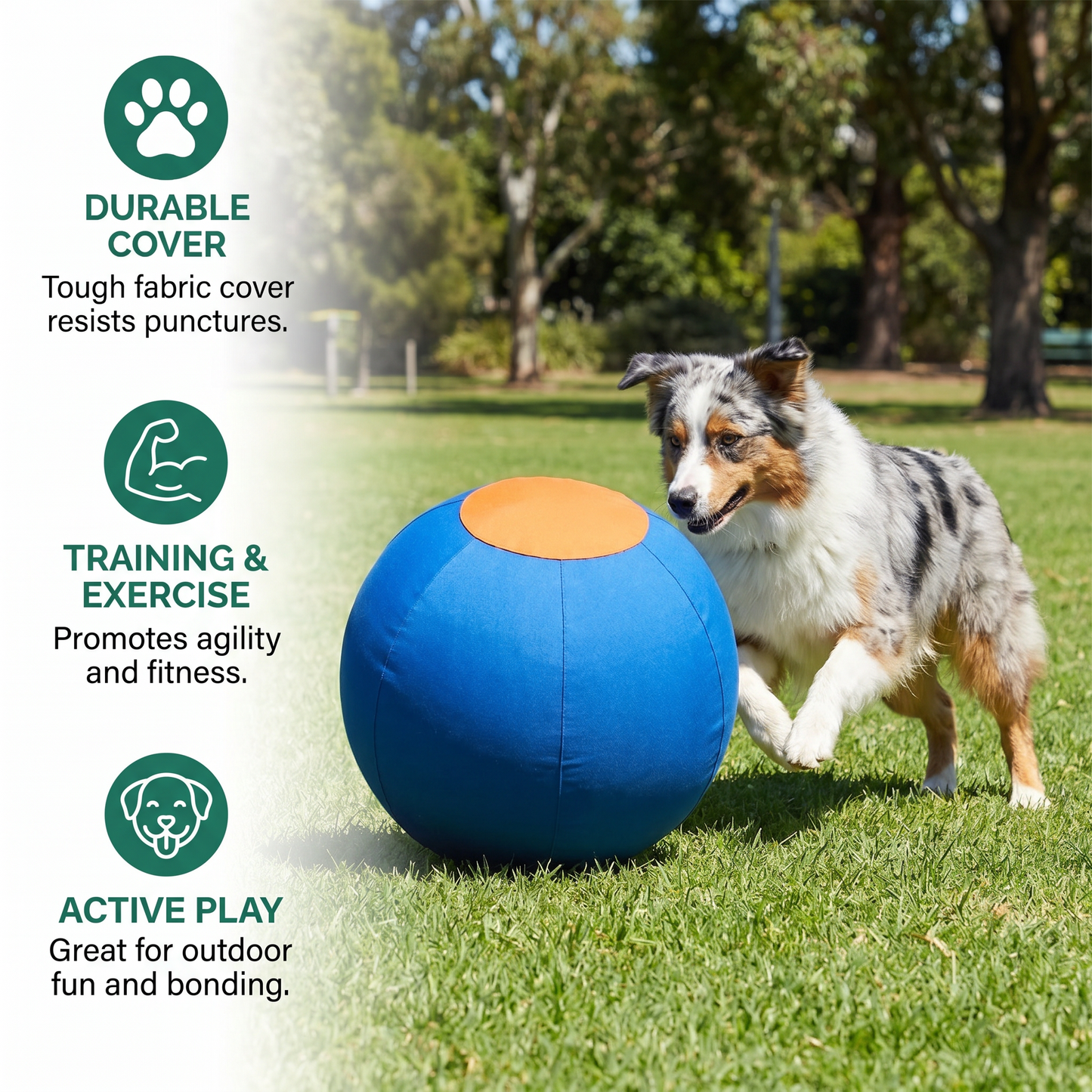 Durable training ball with cover for dogs