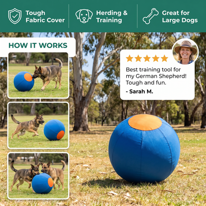 Durable training ball with cover for dogs