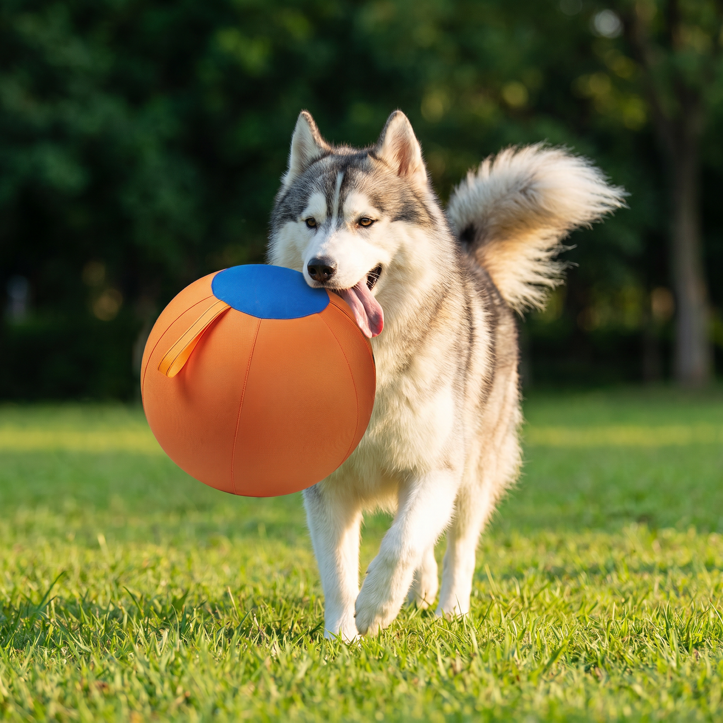 Durable training ball with cover for dogs
