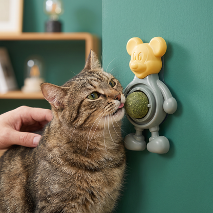 Catnip Ball Chew Toy