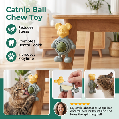Catnip Ball Chew Toy