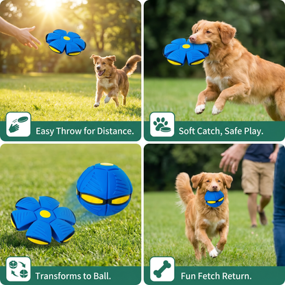 Interactive Flying Fetch Dog Ball