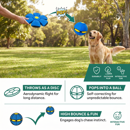 Interactive Flying Fetch Dog Ball
