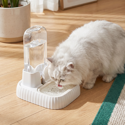 Automatic Large Capacity Pet Water Dispenser