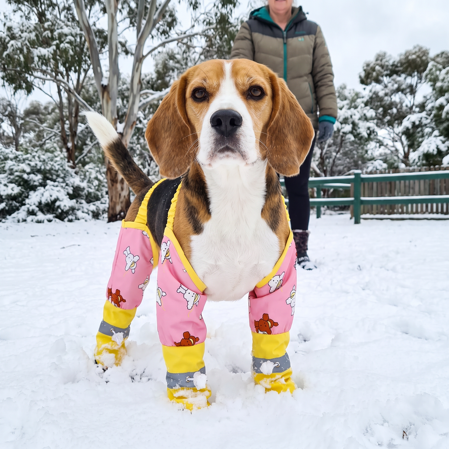 Waterproof Dog Leg Cover Suit for Clean and Protected Outdoor Walks