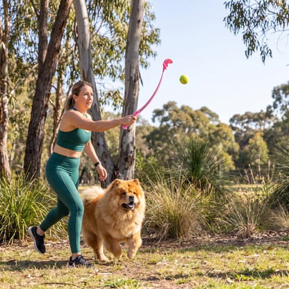 Interactive Tennis Ball Launcher for Dogs – Long-Handle Fetch Thrower