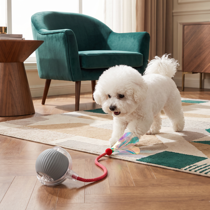 Upgraded Smart Rolling Dog Ball – Durable Interactive Toy with Mesh Tail
