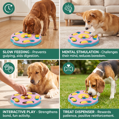 Interactive food puzzle for dogs