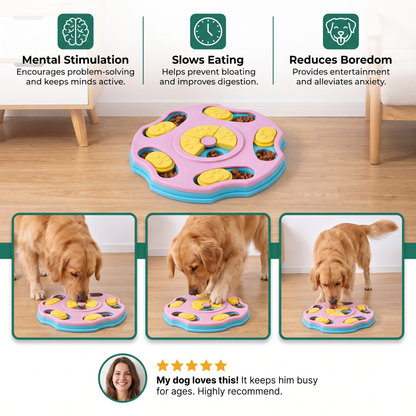 Interactive food puzzle for dogs
