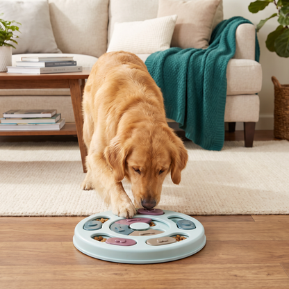 Interactive food puzzle for dogs