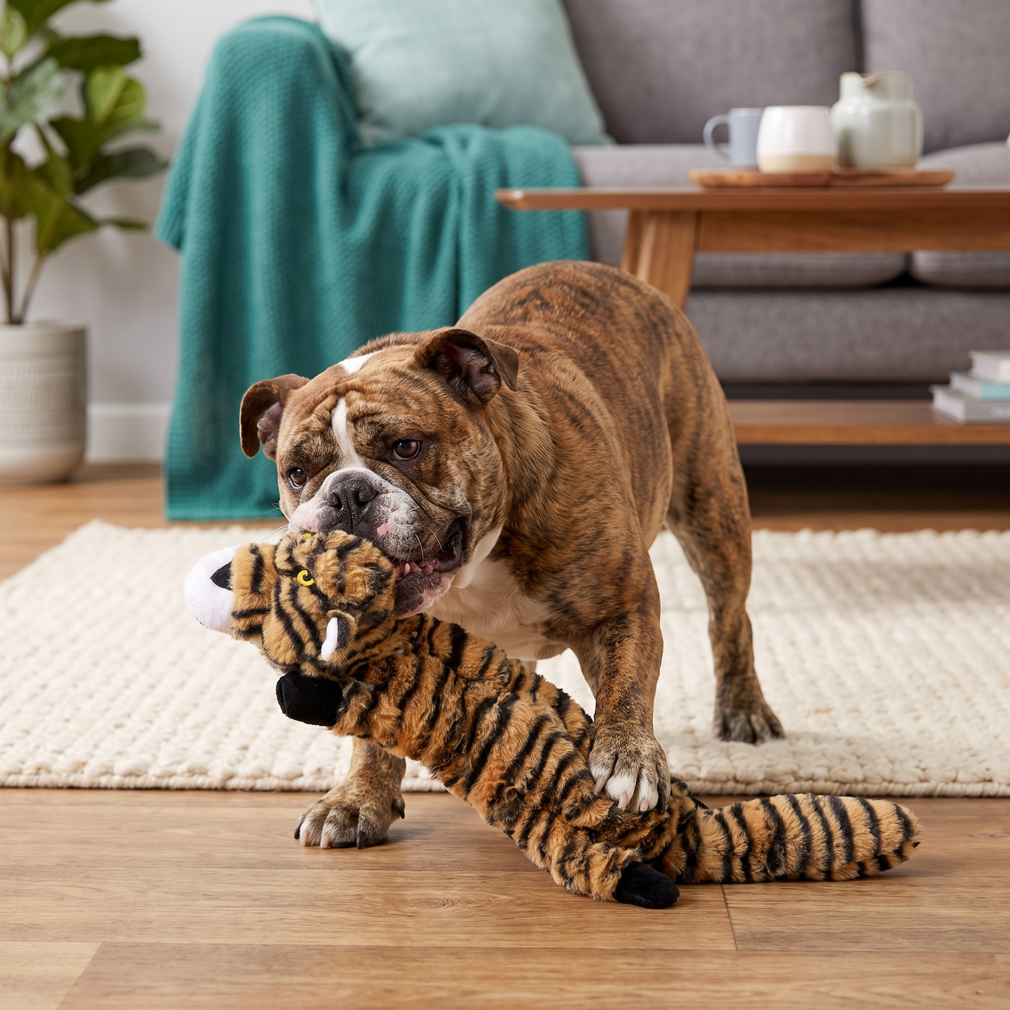 Durable Stuffing-Free Crinkle Squeaky Dog Toy