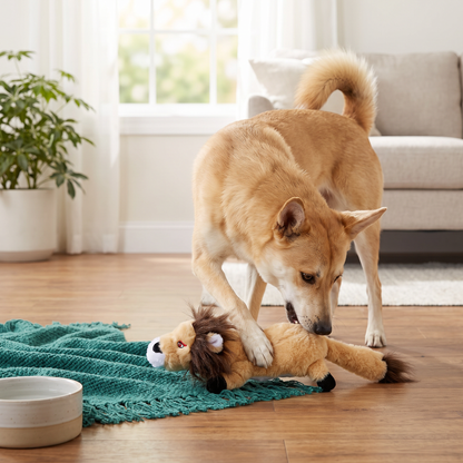 Durable Stuffing-Free Crinkle Squeaky Dog Toy